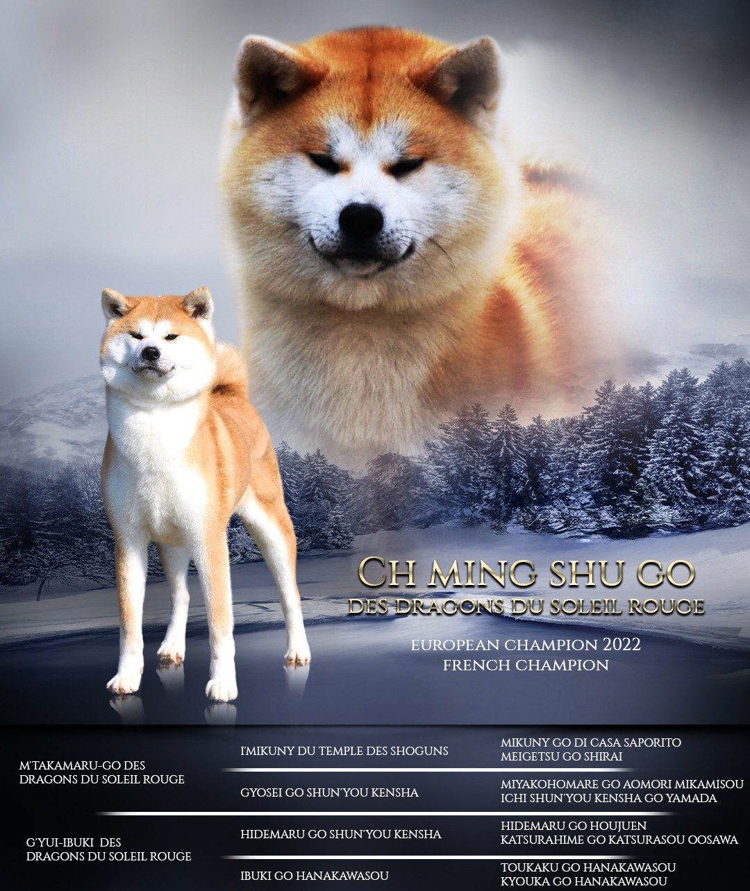 O'ming Shu Go Des dragons du soleil rouge