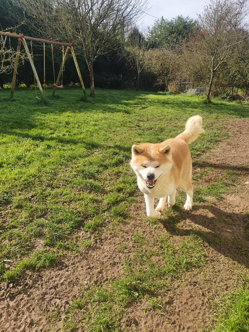 taichimaru go (Sans Affixe)
